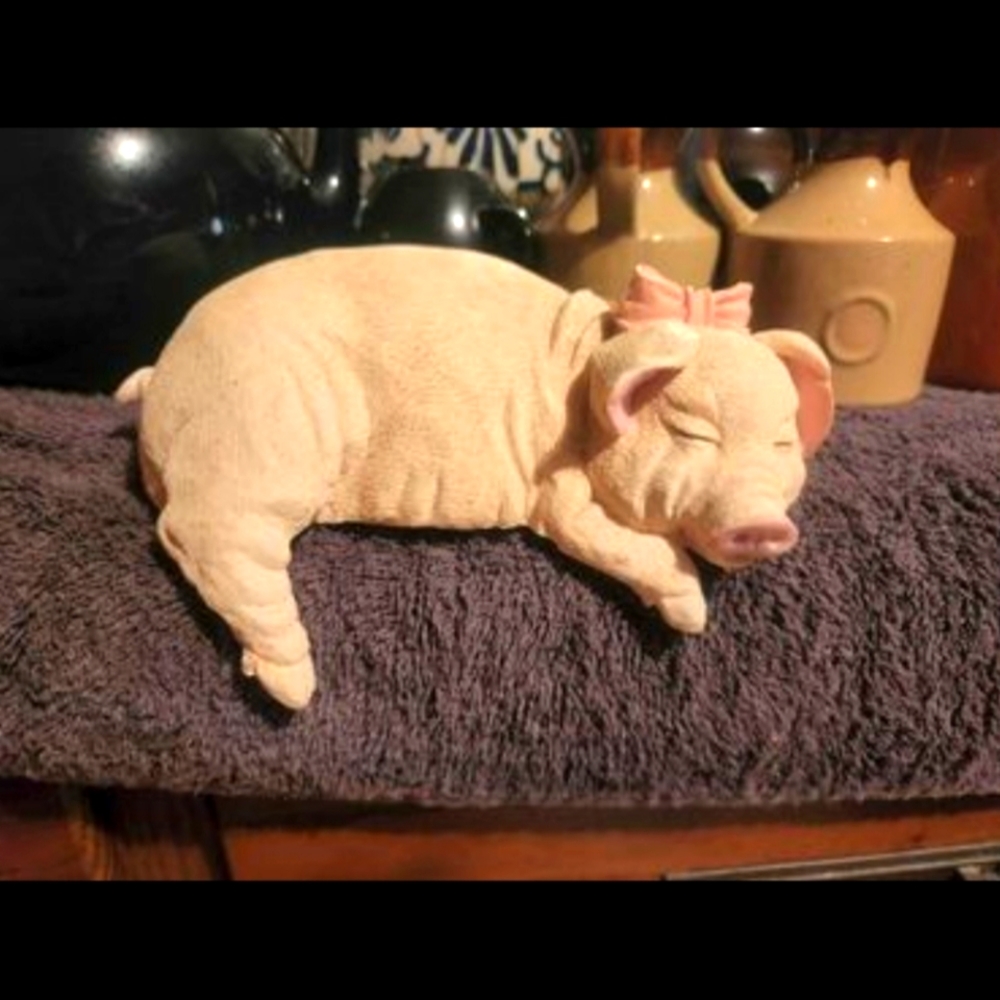 Sleeping shelf pig